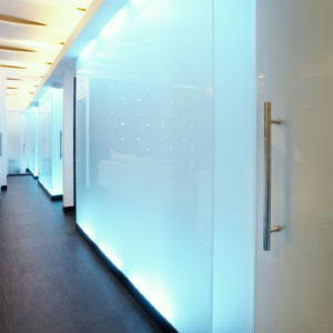 Противопожарная перегородка с переменной прозрачностью / серия FRM5358